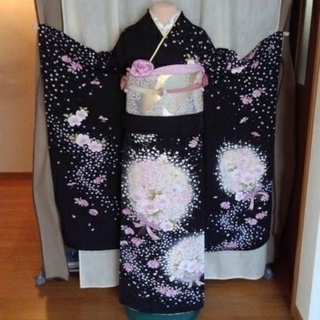 振り袖⑭anan、長襦袢、袋帯、小物セット