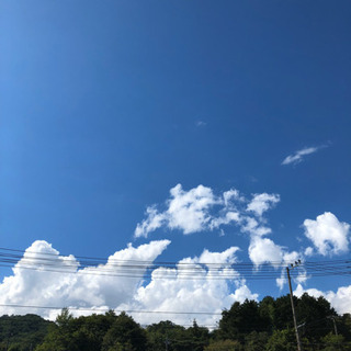 キャンプ仲間募集！ - 廿日市市