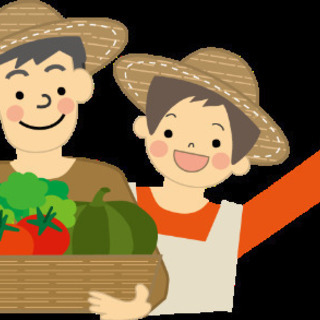 急募☆8~12時~5000円。仕事掛け持ちok。野菜の仕分け、ピ...