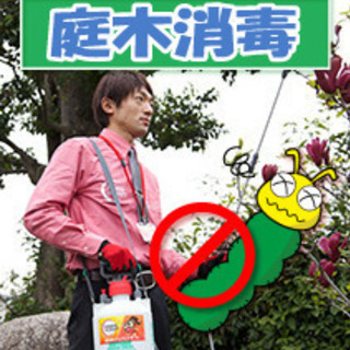 庭木の消毒　庭木を害虫や病気から守る！見積無料
