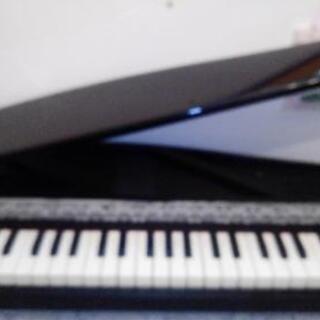 corg microPIANO（コルグ・マイクロピアノ）引き取りのみ