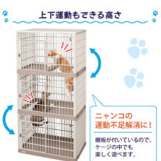 猫用3段ゲージの画像