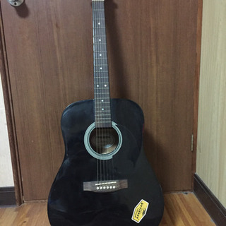 PLAYTECH D4 ギター 