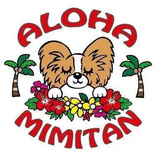 北田辺駅にペットホテル　ALOHA MIMITAN  (アロハミ...