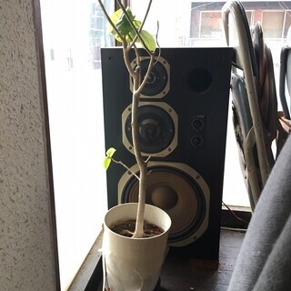 スピーカー類の画像