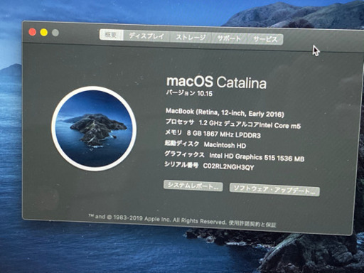MacBook (Retina, 12-inch, Early 2016) ローズゴールド +おまけ