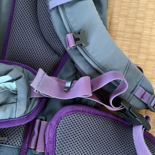 【値下げ→当初価格から4割引！】 AIGLE バックパック20L！！の画像