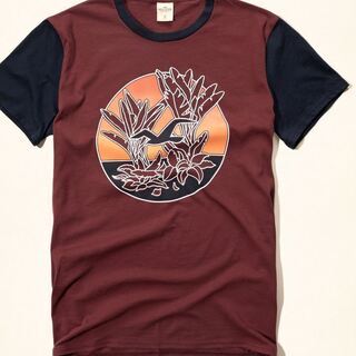 新品【HOLLISTER】 ホリスター　プリンテッドロゴグラフィ...