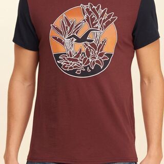 新品【HOLLISTER】 ホリスター　プリンテッドロゴグラフィックＴ　サイズ：M (日本Ｌサイズ相当)の画像