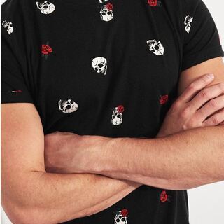 新品【HOLLISTER】 ホリスター　マストハブ カーブヘムTシャツ　サイズ：L (日本XLサイズ相当) の画像
