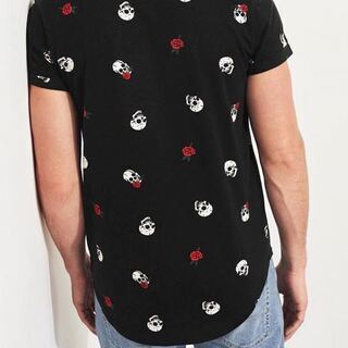 新品【HOLLISTER】 ホリスター　マストハブ カーブヘムTシャツ　サイズ：L (日本XLサイズ相当) の画像