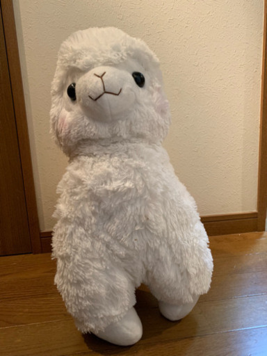 【未使用】アルパカッソ 白 ぬいぐるみ