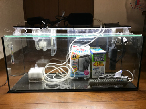 水槽　60×20×25 熱帯魚+稚魚飼育セット
