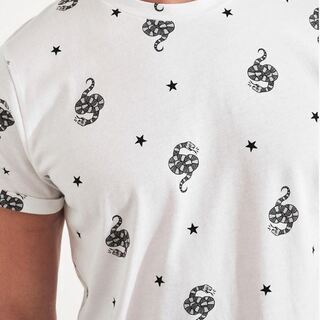 新品【HOLLISTER】 ホリスター　スネーク&スタープリントTシャツ　サイズ：M (日本Lサイズ相当) の画像