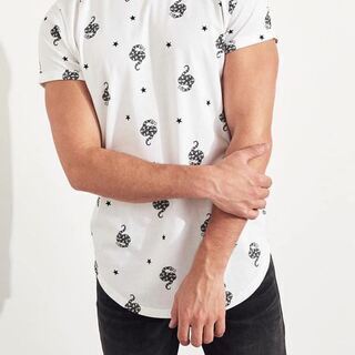 新品【HOLLISTER】 ホリスター　スネーク&スタープリントTシャツ　サイズ：M (日本Lサイズ相当) の画像