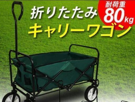 取引完了！カート キャリー ワゴン 台車 キャリーカート 折り畳み グリーン キャンプ