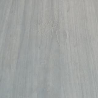 テーブル　丸テーブル　食卓の画像