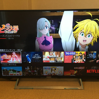 ソニー　ブラビア　43型　& 外付けハードディスク