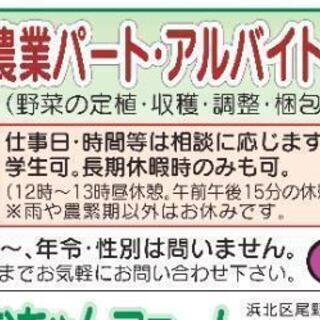 農作業労働募集。