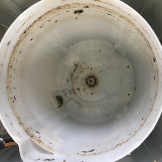 日立7.0K洗濯機2014年製　分解クリーニング済み！！！の画像