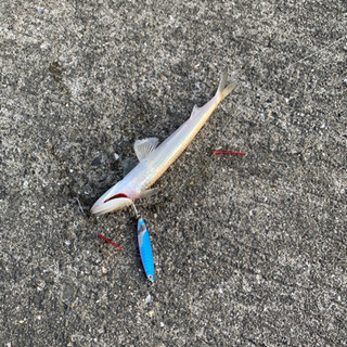 釣り好きな人