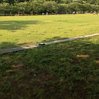 公園でキャッチボール⚾️