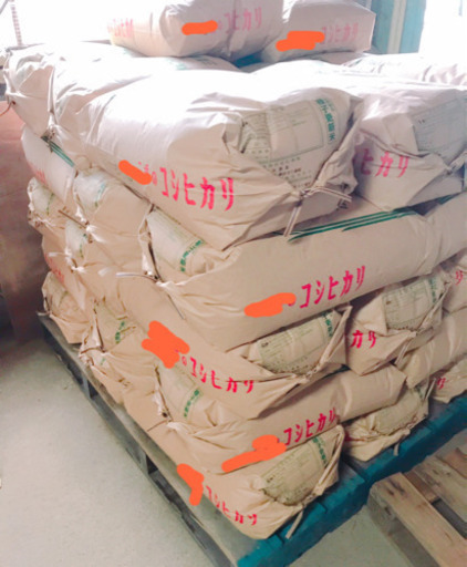 本年度の販売は終了しました。