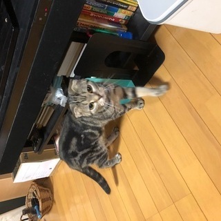 1才8ヶ月の女の子