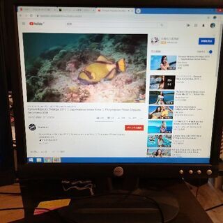 モニター　ディスプレイ　DELL E193FP