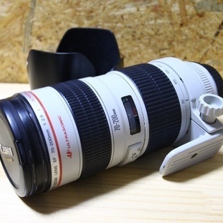 キヤノン EF70-200mm F2.8L USM ケース、フィ...