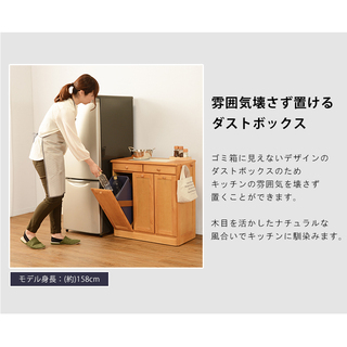 ダストボックス ゴミ箱に見えないキッチンカウンターの画像