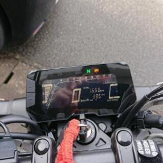 CB250R 2019年式 走行1700km の画像