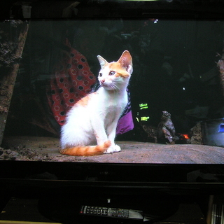 ◇取引終了 日立42型プラズマテレビ■HDD内蔵♪録画できます。...