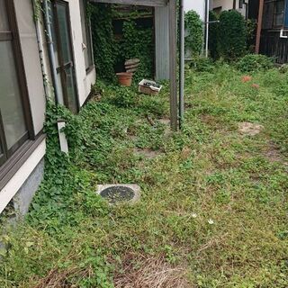 草抜き·草刈り·剪定·伐採·伐根·除草剤噴霧お任せください。