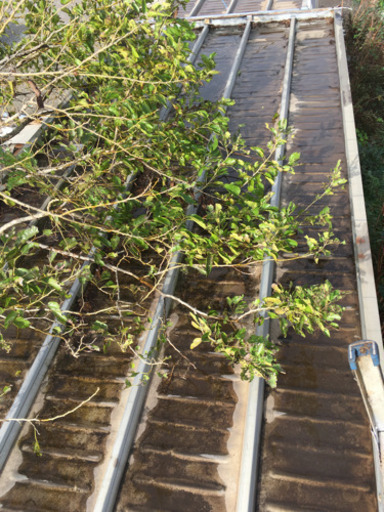 【中古】5.4mワイドユニットハウス／3.6坪／12平米《コンテナ・プレハブ・倉庫・物置・小屋・DIY》