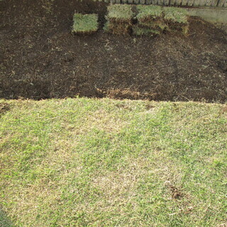 ※決まりました！天然芝あげます！（引取り限定）の画像