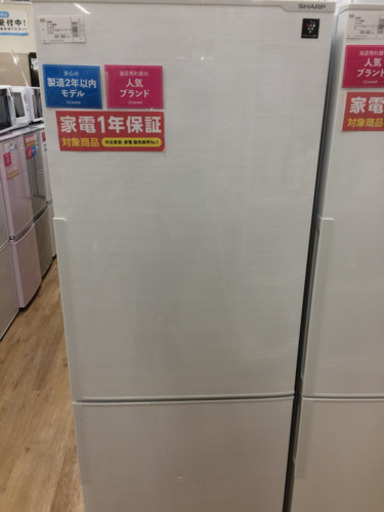 安心の1年保証！SHARPの2ドア冷蔵庫です！
