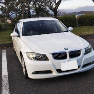 BMW 美車　本日夕方まで(11月6日)