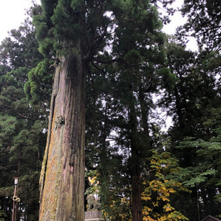 ✨✨人生楽しく分かち合いませんか？✨✨ − 東京都
