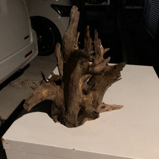 流木　ストア購入品