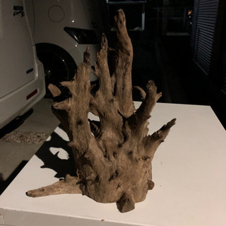 流木　ストア購入品の画像