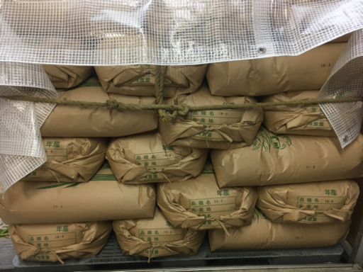30年度産▲！玄米（精米要相談）！30kg！早い者勝ち！