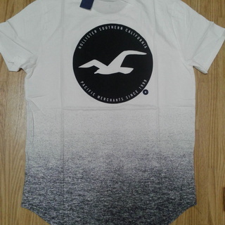 新品【HOLLISTER】 ホリスター　モノトーン・グラデーショ...