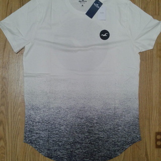 新品【HOLLISTER】 ホリスター　モノトーン・グラデーションＴ　L :日本XＬサイズの画像