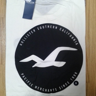 新品【HOLLISTER】 ホリスター　モノトーン・グラデーションＴ　L :日本XＬサイズの画像