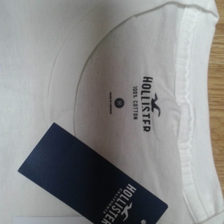 新品【HOLLISTER】 ホリスター　モノトーン・グラデーションＴ　L :日本XＬサイズの画像
