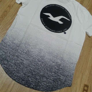 新品【HOLLISTER】 ホリスター　モノトーン・グラデーションＴ　L :日本XＬサイズの画像