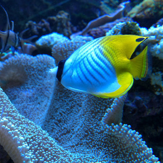 カウンセリング