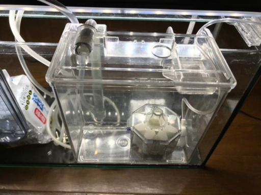 水槽　60×20×25 熱帯魚+稚魚飼育セット