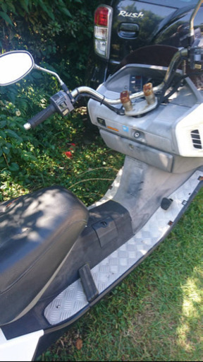 フィージョン250です。走行できます、